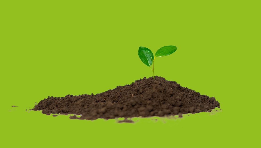 Magneiumhealthinstitute-seed-growth